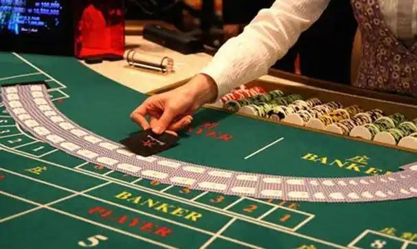 31bet